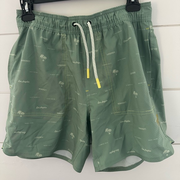 Men’s Legends Saylor Swim Dusty Sage Shorts - Picture 2 of 5